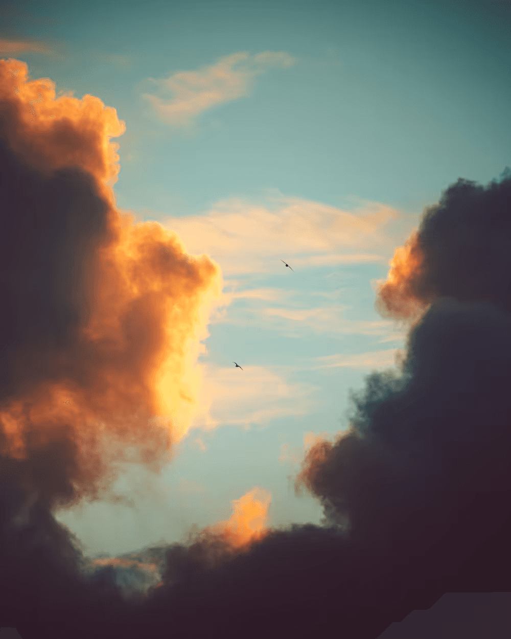 SKies