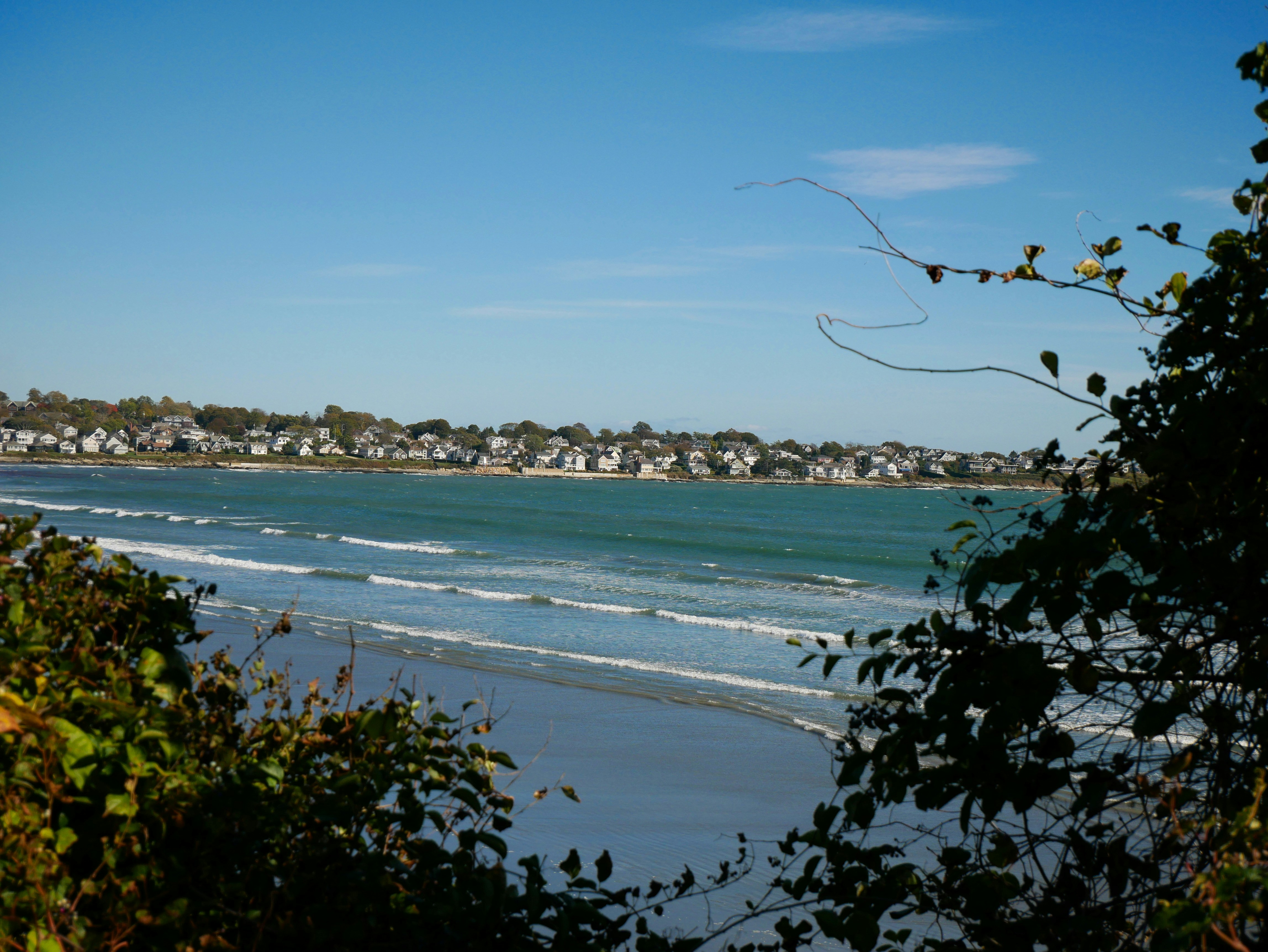 Building Coastal Homes with Modern Design Principles in Victoria