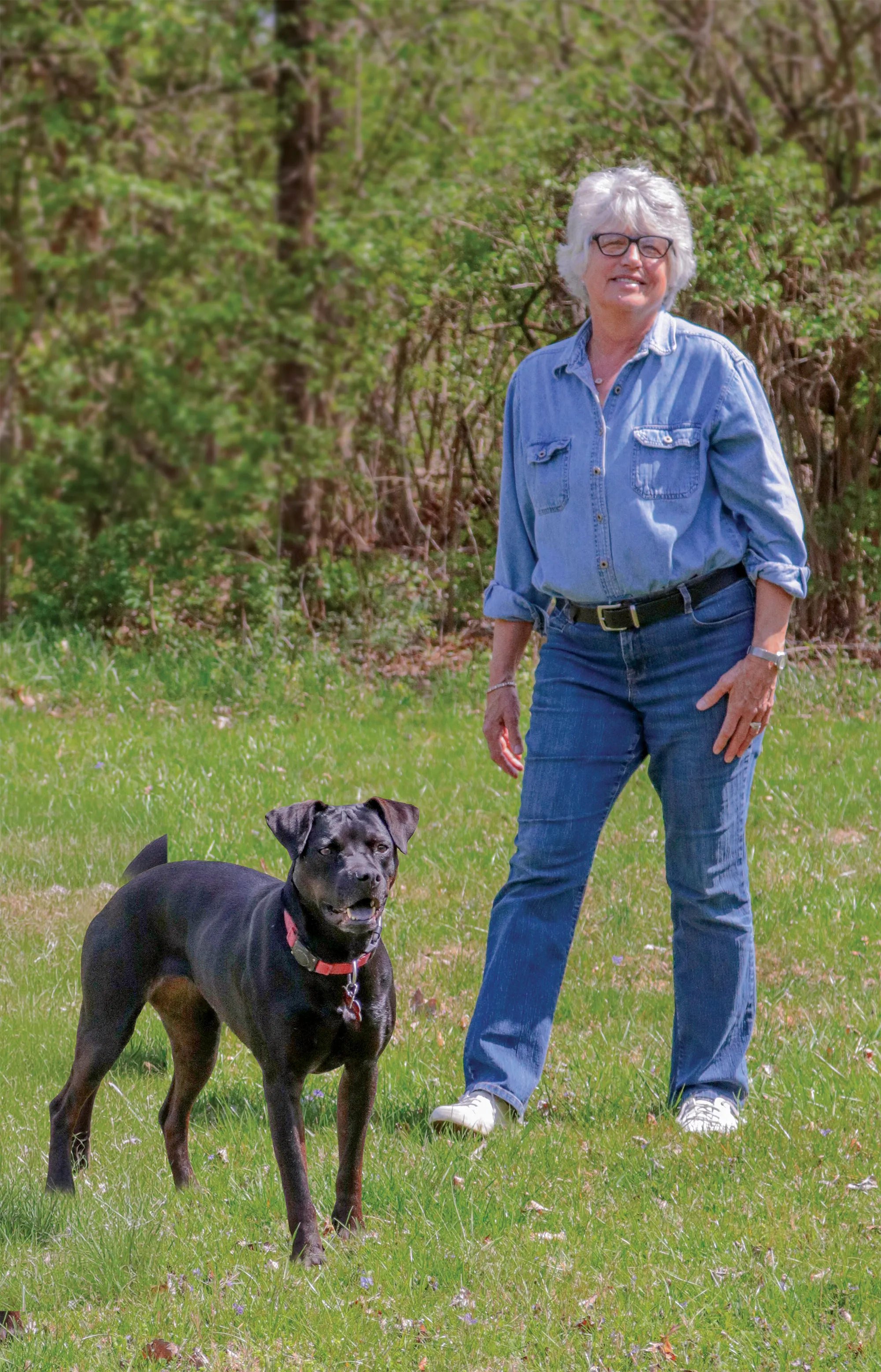 Team collaborating in office