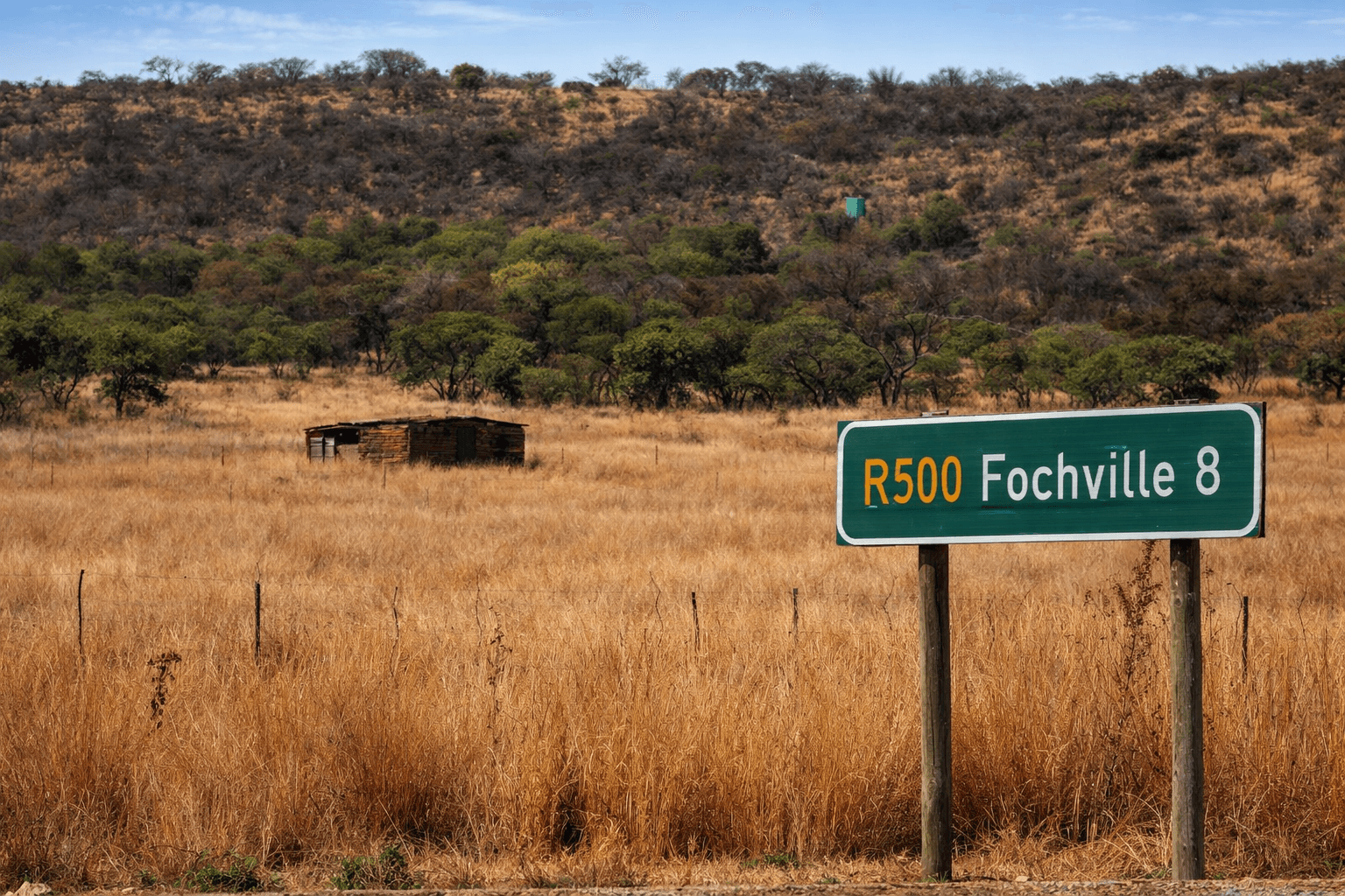 five toddlers near the window