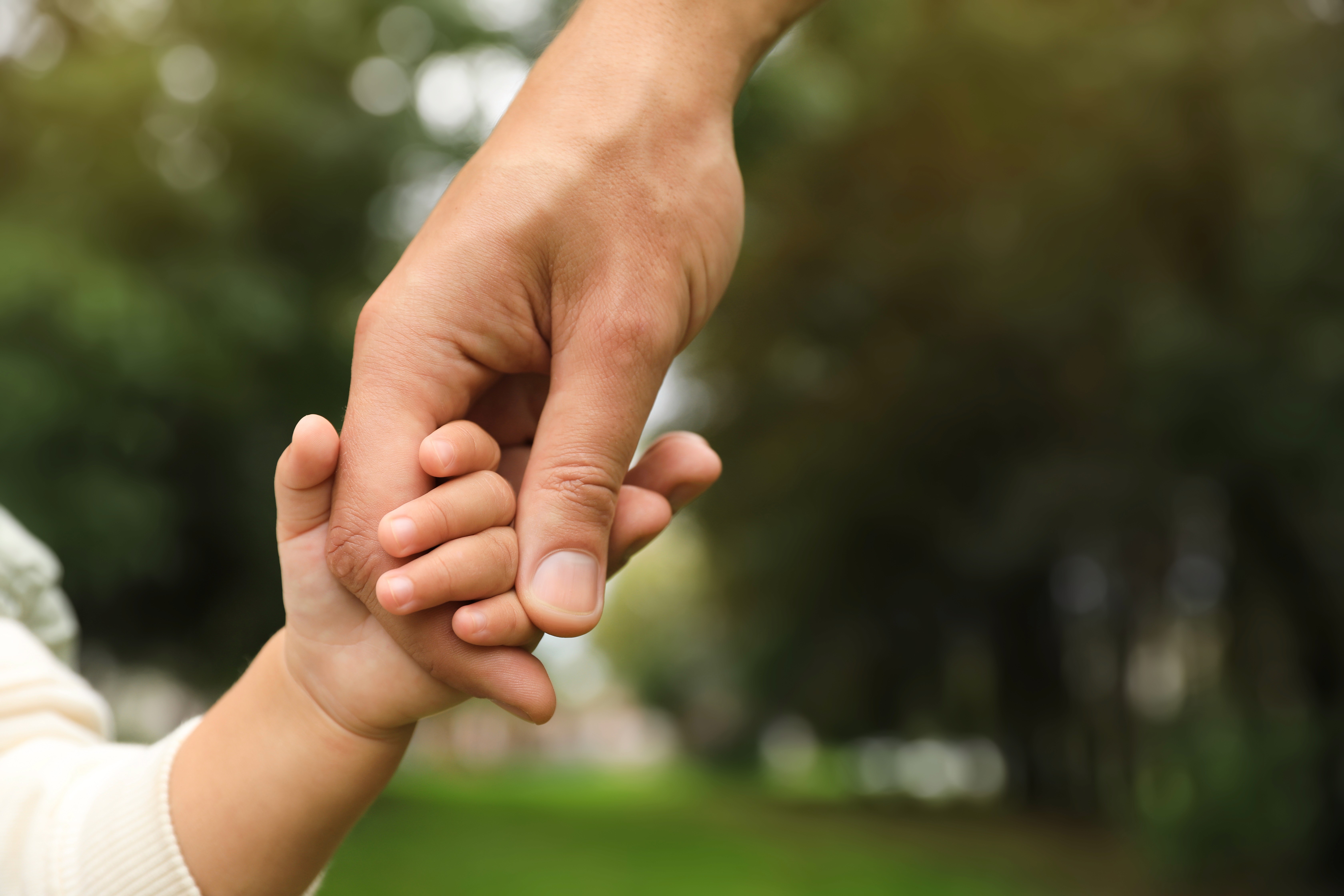 Adult hand holding a child's hand outdoors in a green park setting, representing family law guidance and frequently asked questions for Essex County families at Lamb & Lamb, P.C.