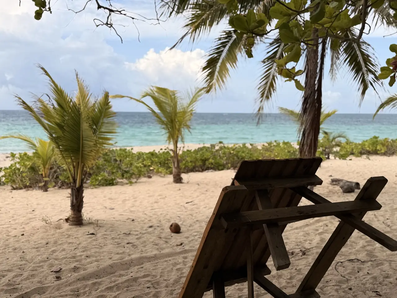 A wooden lounger under palms at Camp Bay, facing turquoise water.