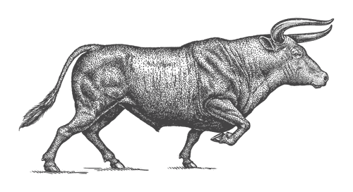 Shape Image