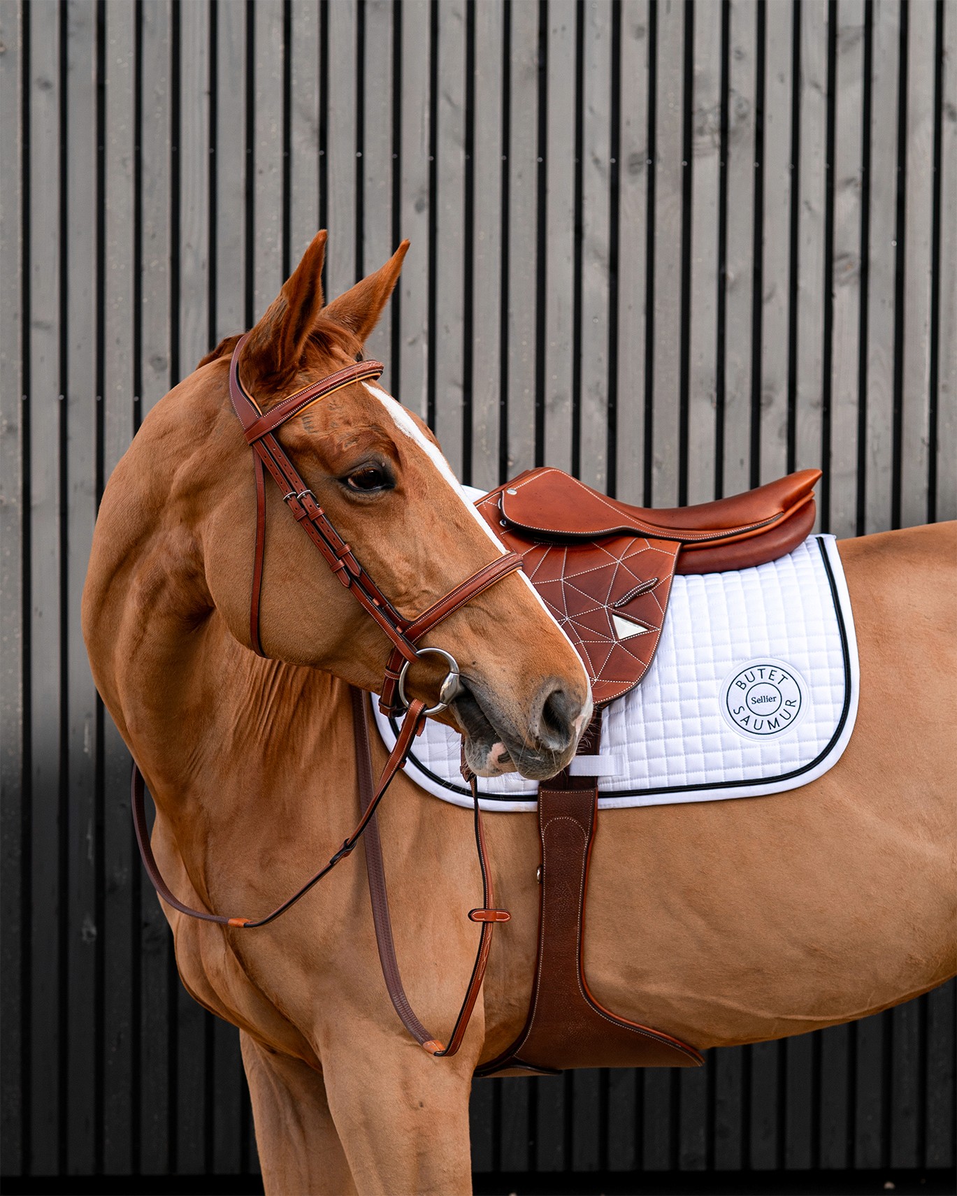 Dom Pérignon vineyards from the sky