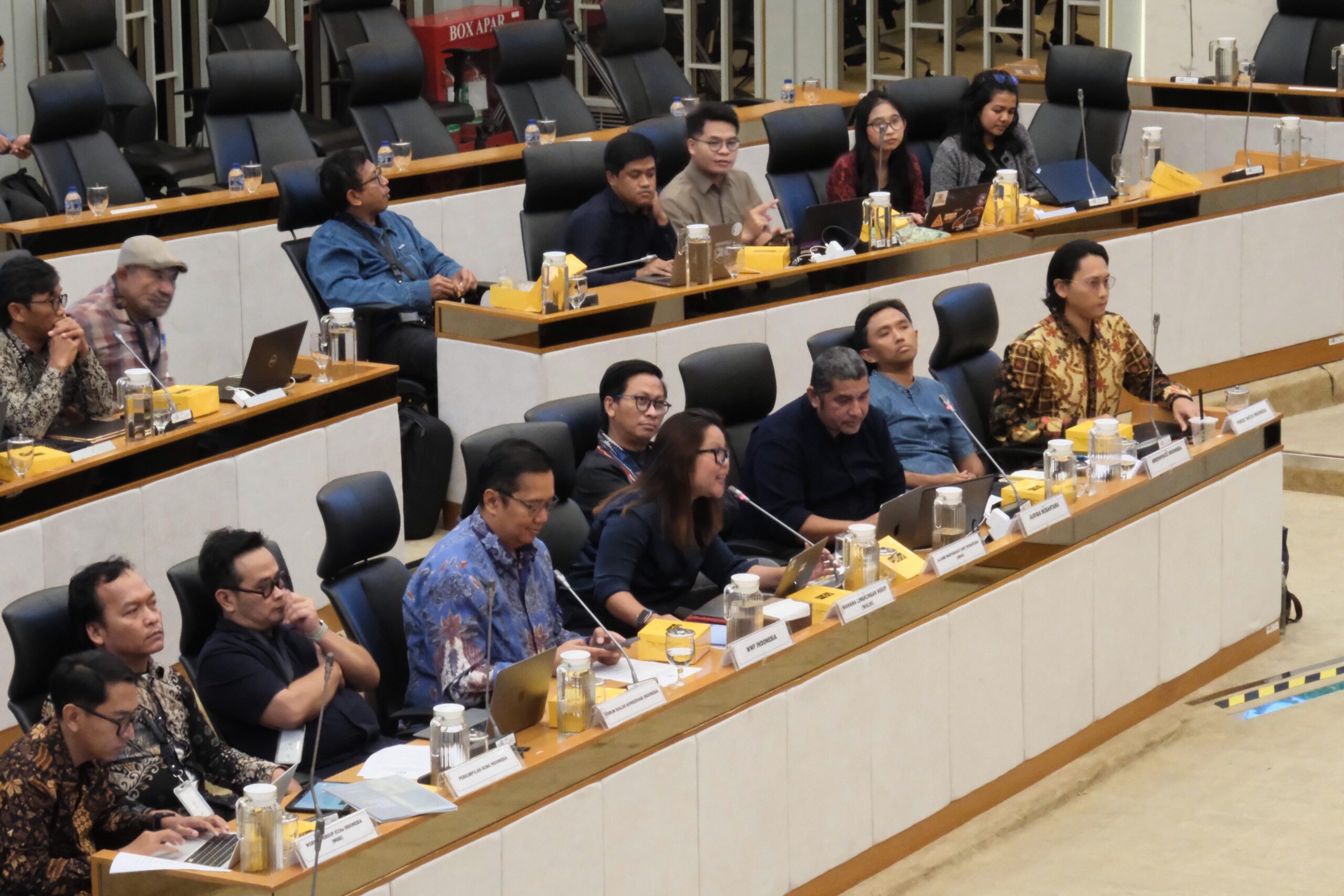 Close-up of lush, dark green leaves, some glossy and wet, against a muted background.