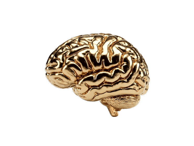 Small metallic gold sculpture of a human brain in side profile, on a black background.