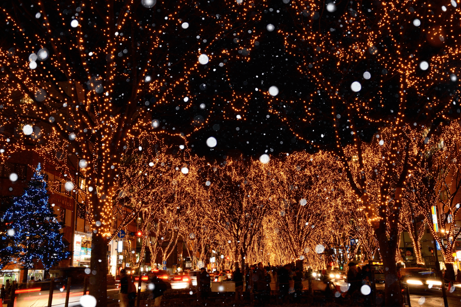 Light up on the streets of Sendai for Sendai Hikari no Pageant