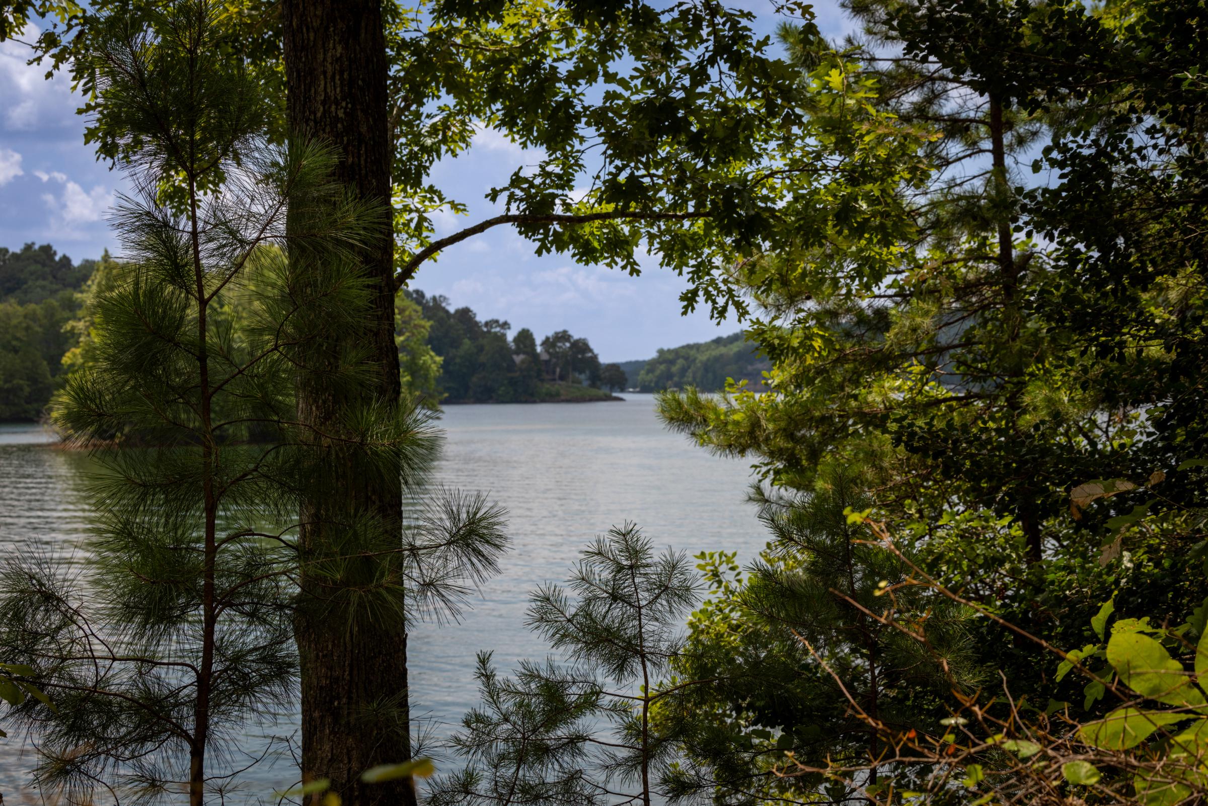 Lake Keowee - Lake View