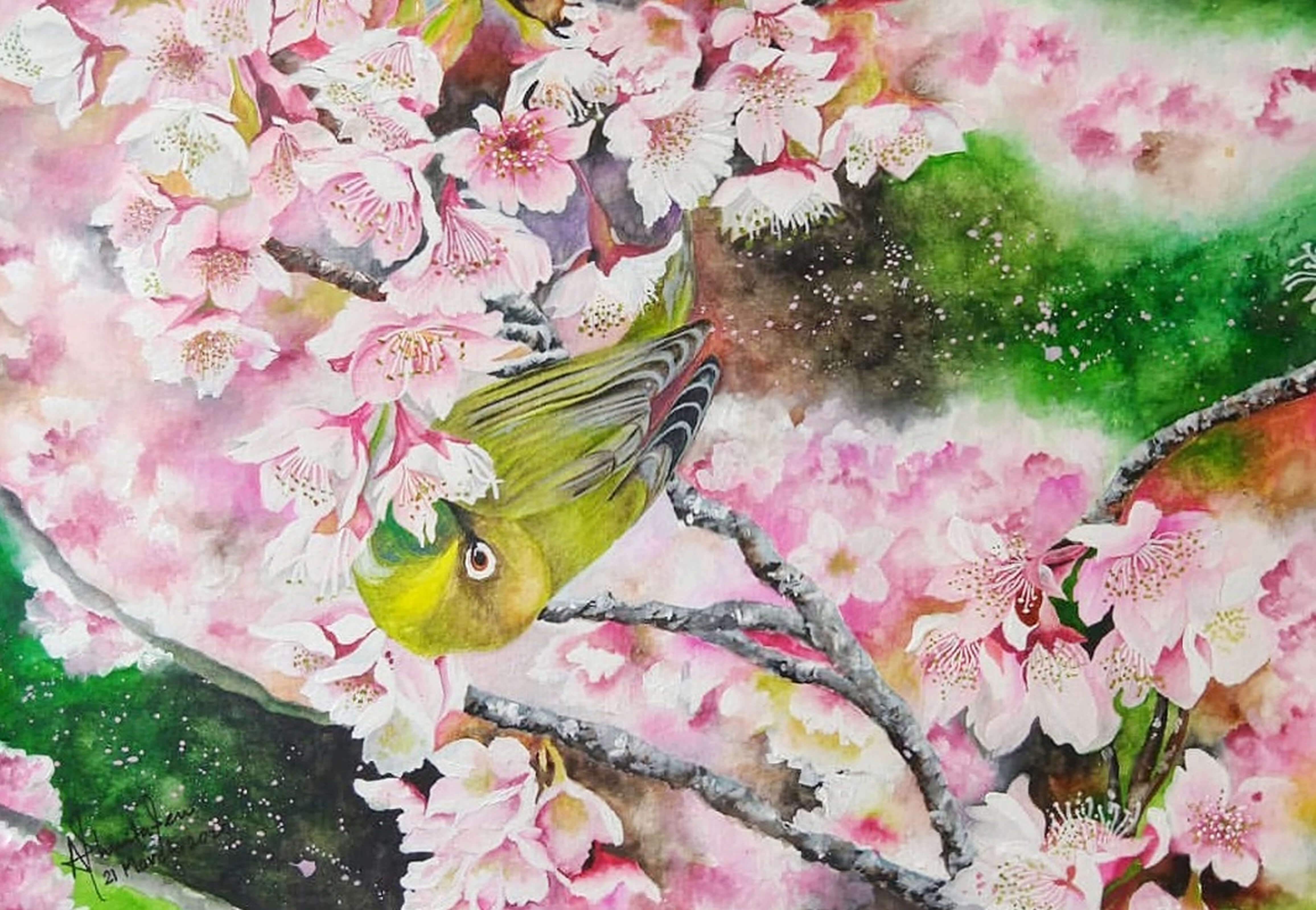 Watercolor painting of a small green bird perched among pink cherry blossoms.