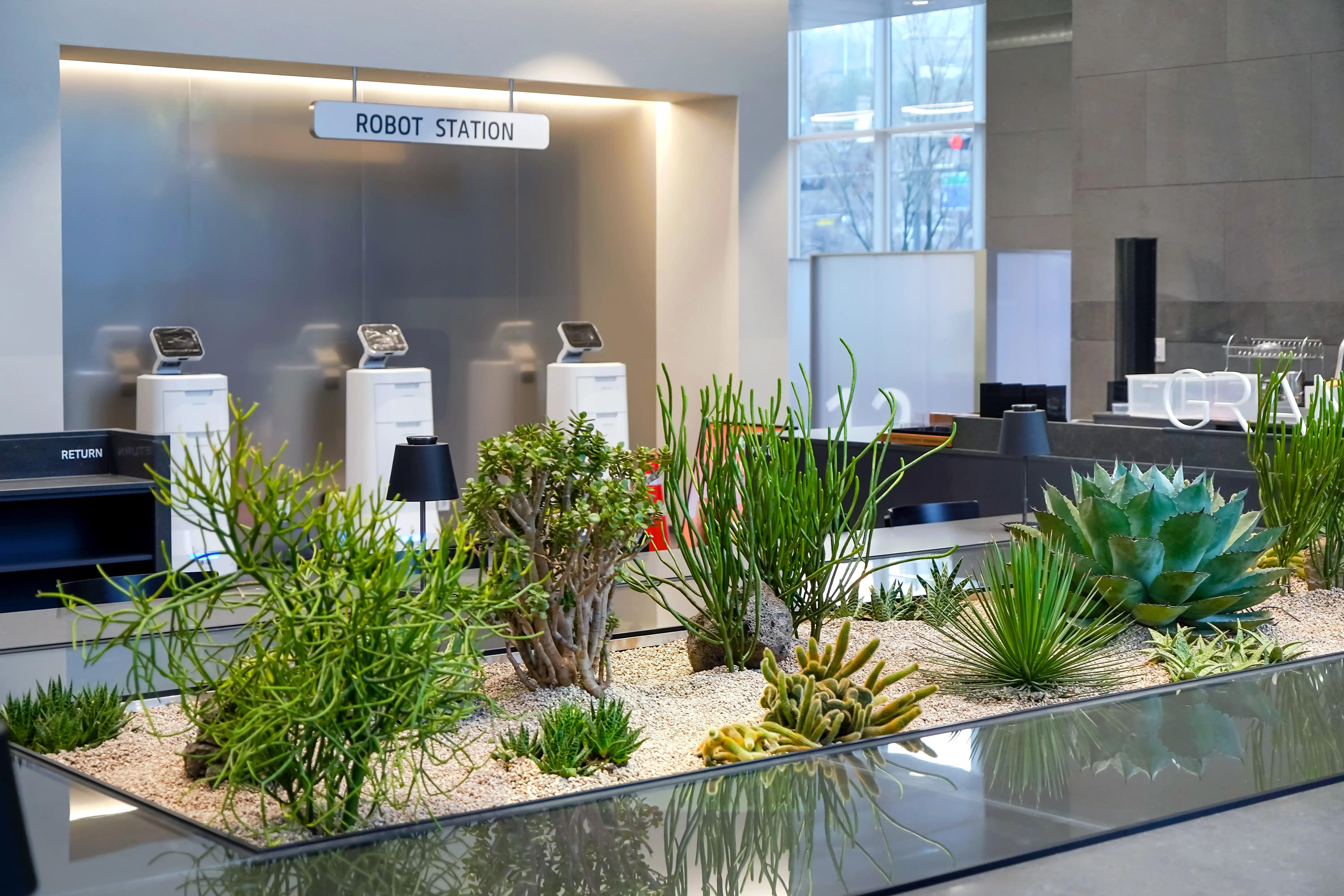 스타벅스 카페에 설치된 선인장 정원