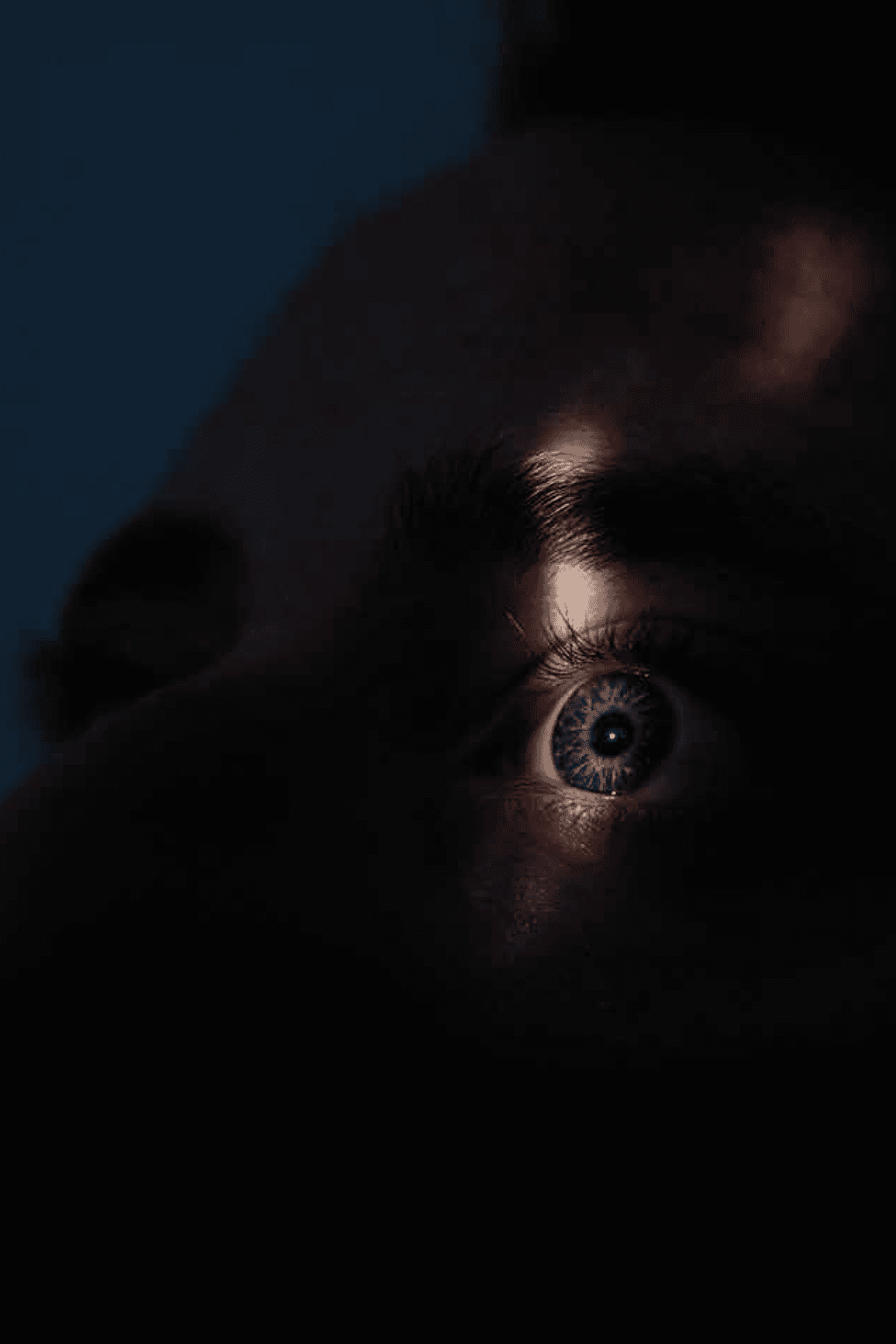3M LATAM: Three Ways to Visualize Curiosity