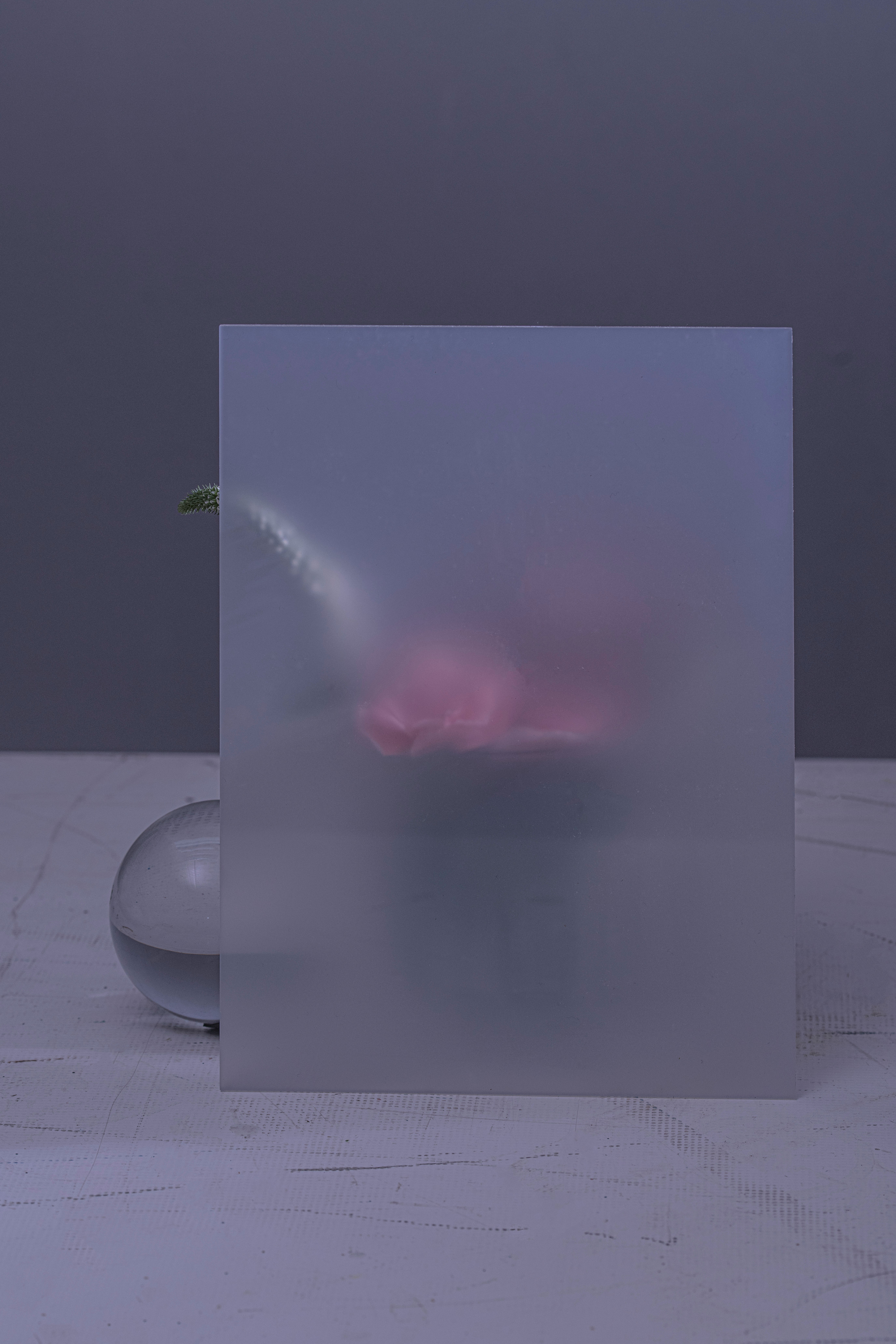 a white plate with a pink flower in it