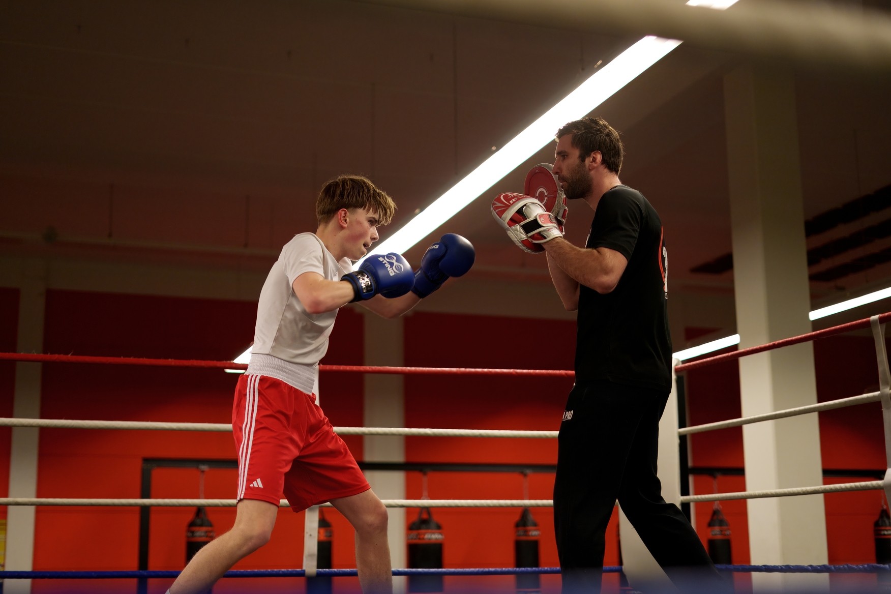 Uitzicht op een professionele boksring bij Boxingclub Leiden.
