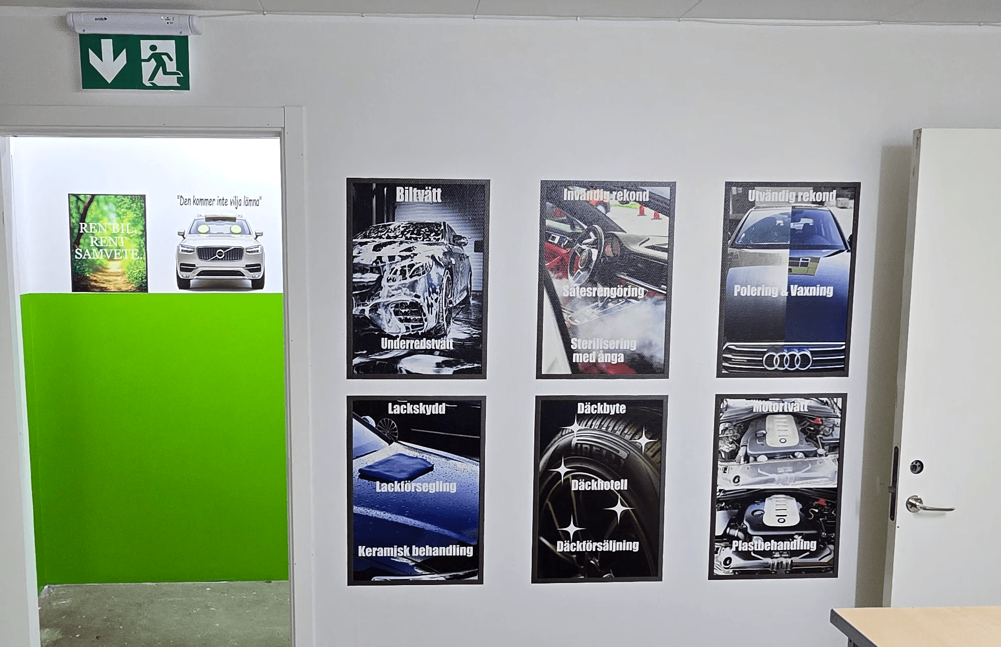 Single tree in a field with light rays.