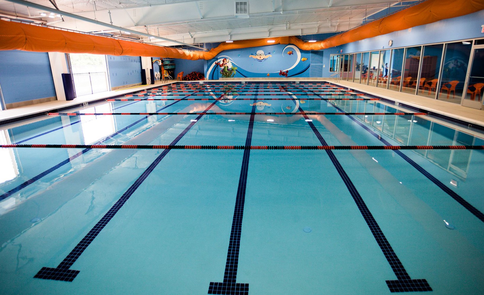 Indoor swimming pool with lap lanes and bright blue walls at Blue Legend Swim School.
