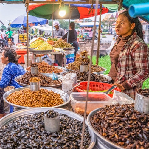 Allow yourself to experience something new and unique by tasting tarantulas, crickets, and many other unusual bugs.