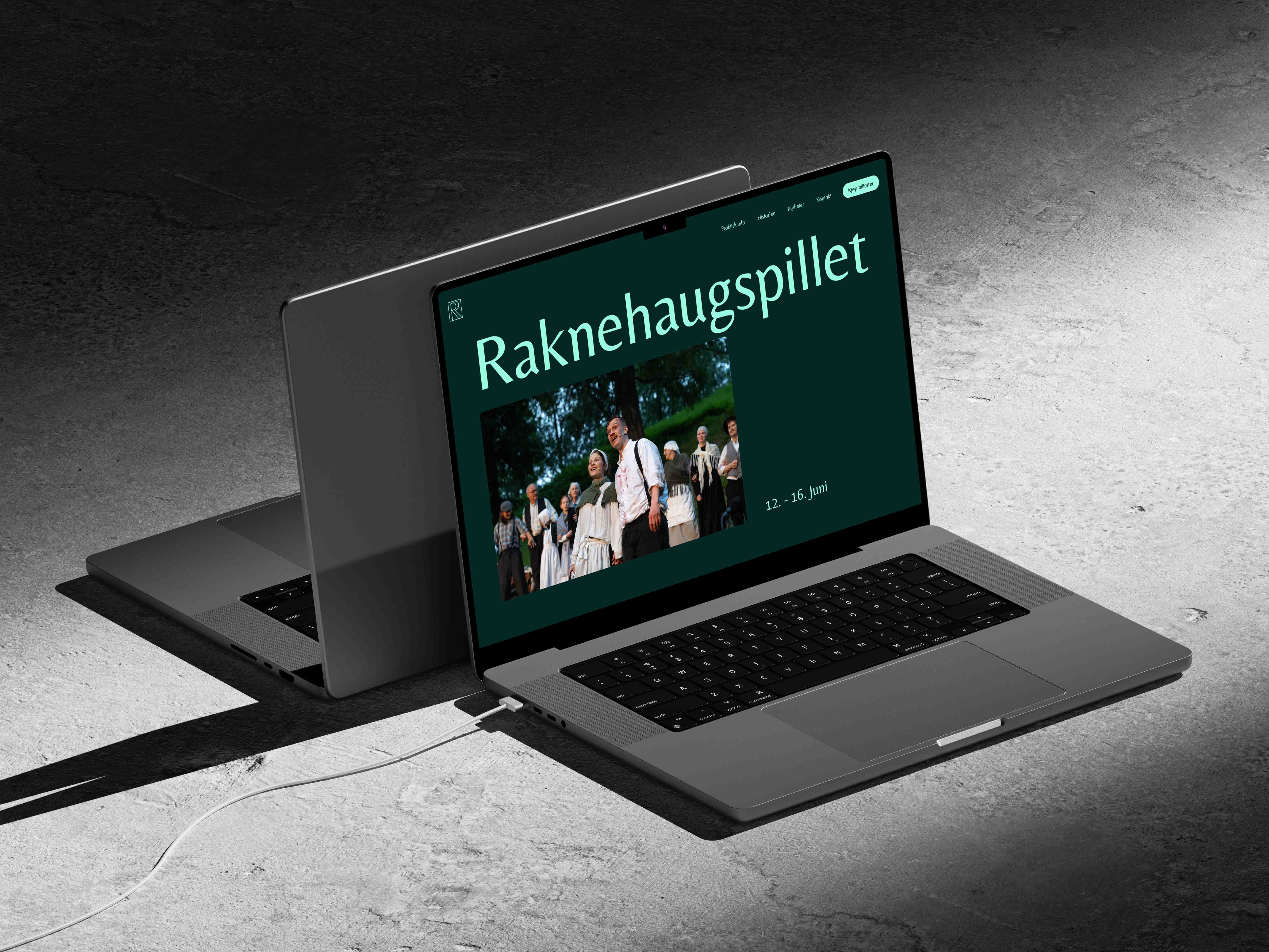 Raknehaugspillet website