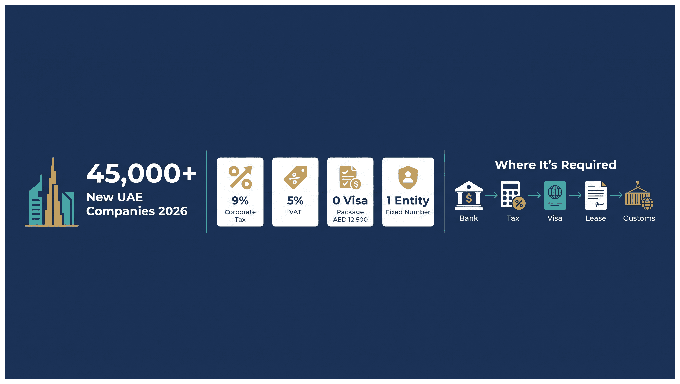 Infographic: What Your License Number Means and Where You Need It