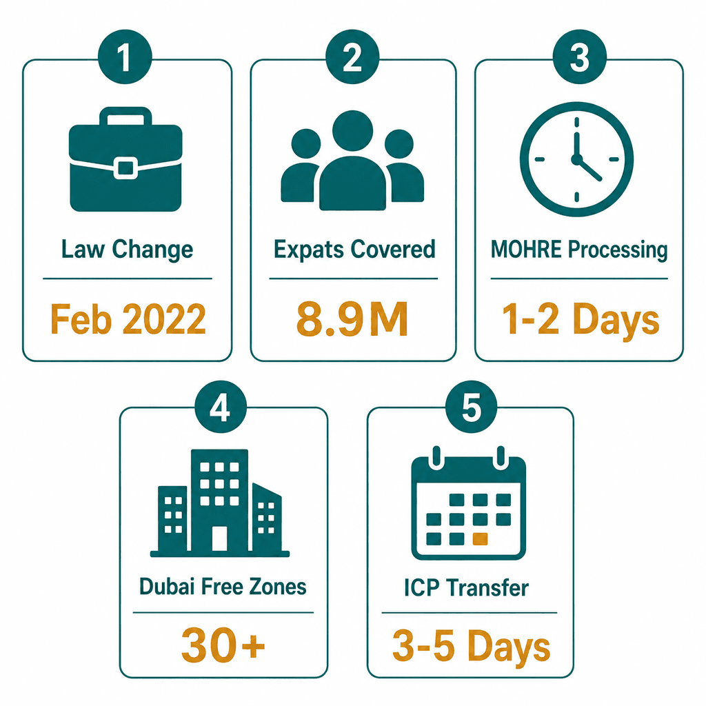 Infographic: NOC in Dubai: What It Is, When You Need One and How to Get It