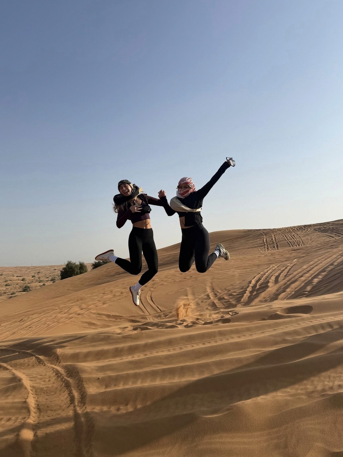 VIP Desert Safari with Dune Quest Tours