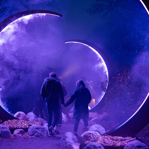 أسترا لومينا في ملاذ كورمبين للحياة البرية