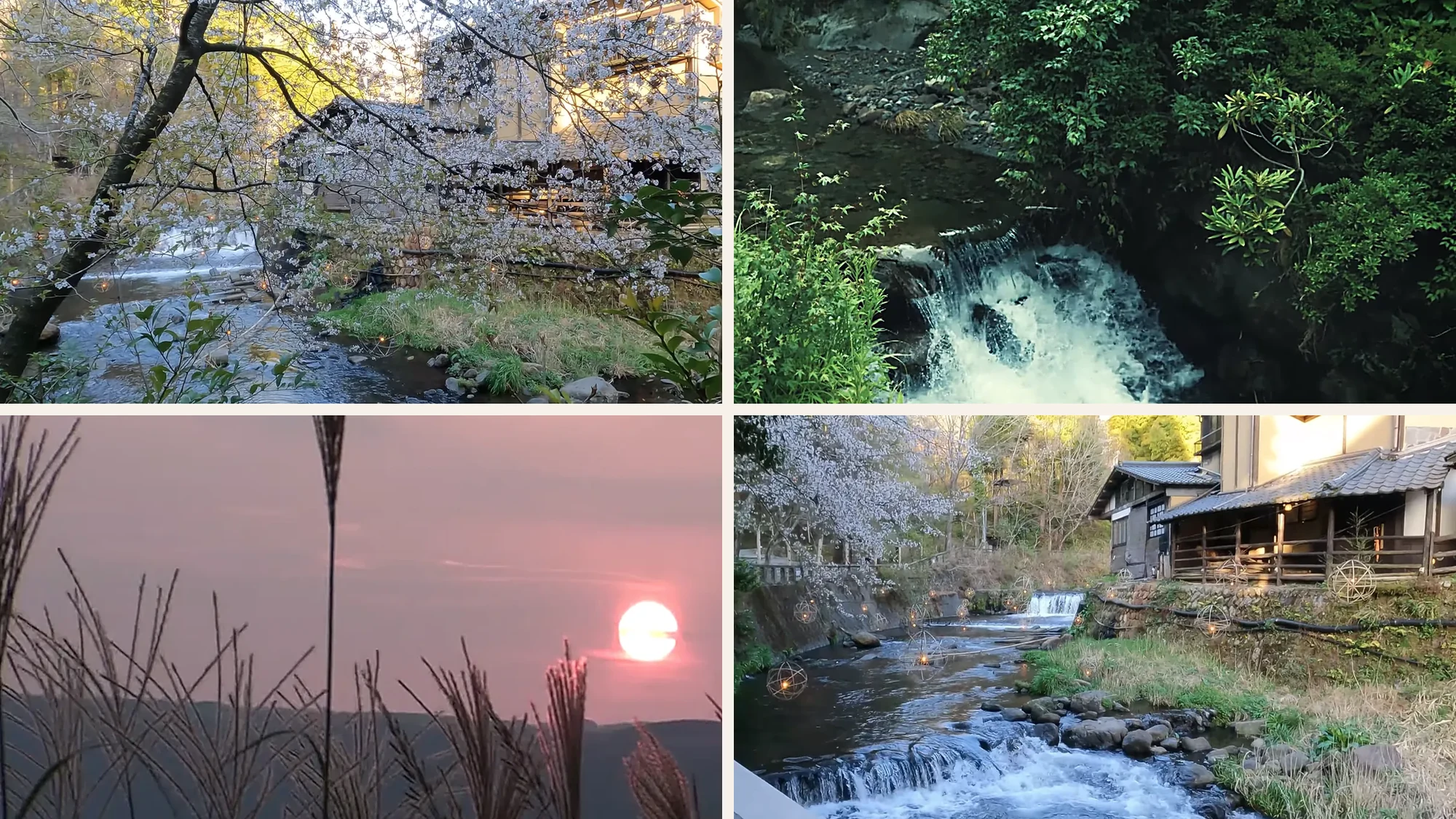 Kurokawa Onsen through the year: cherry over the river, a green cascade, autumn grasses at sunset, the winter river