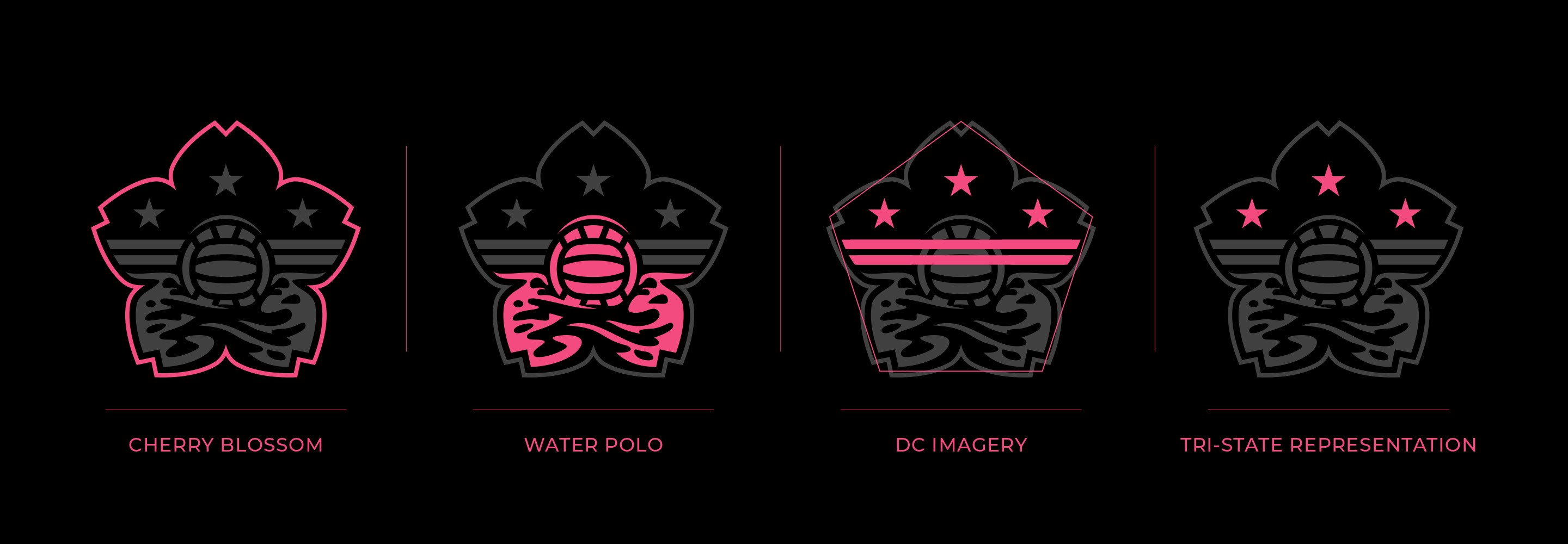 Blossoms Water Polo Club logo story breakdown. Based off a cherry blossom with inetgrated DC imagery.