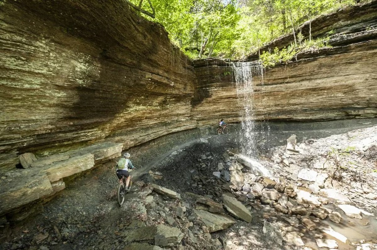 planters with plant near area rug inside room