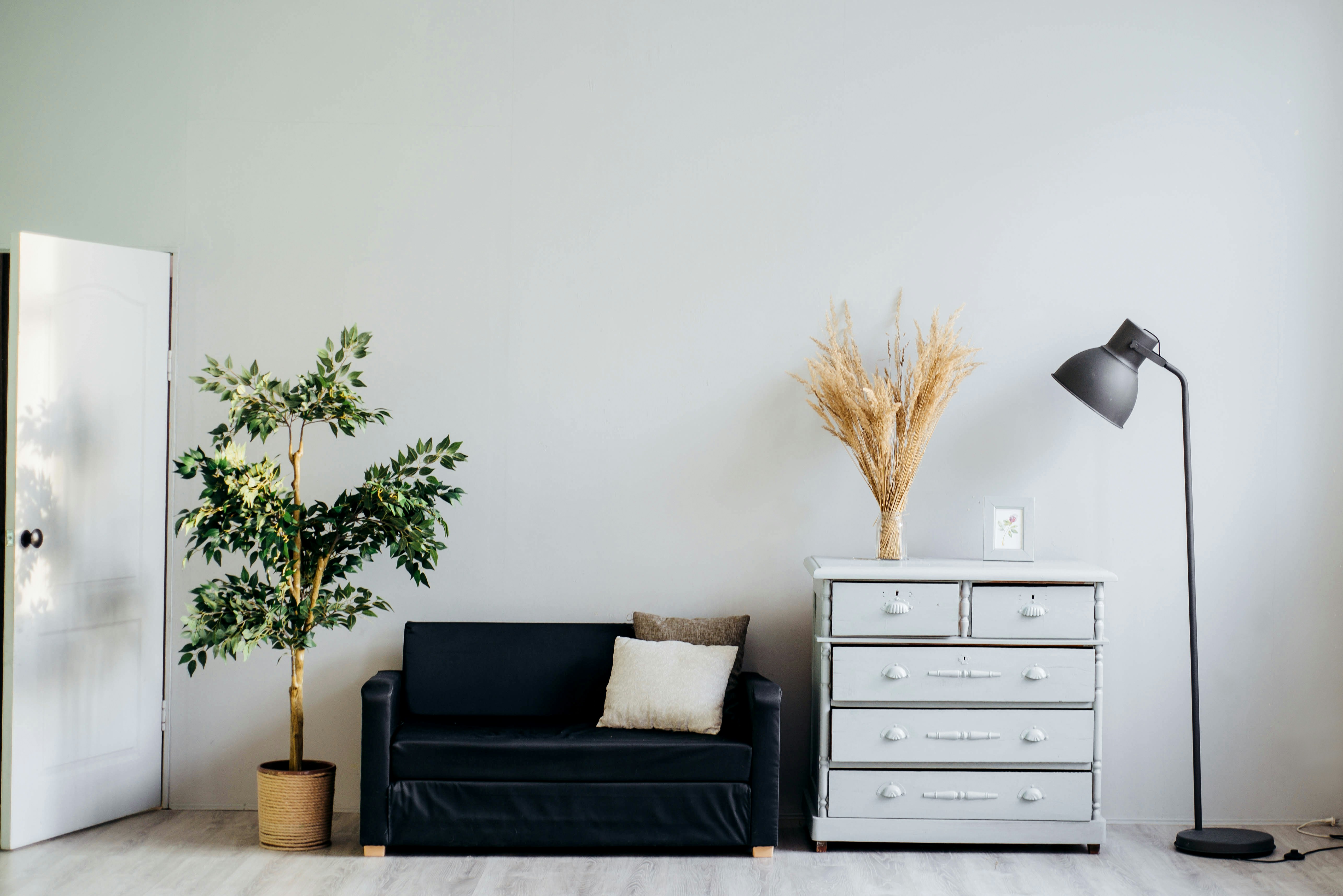 Minimalist living room with a black sofa, potted plant, dresser, and standing lamp.