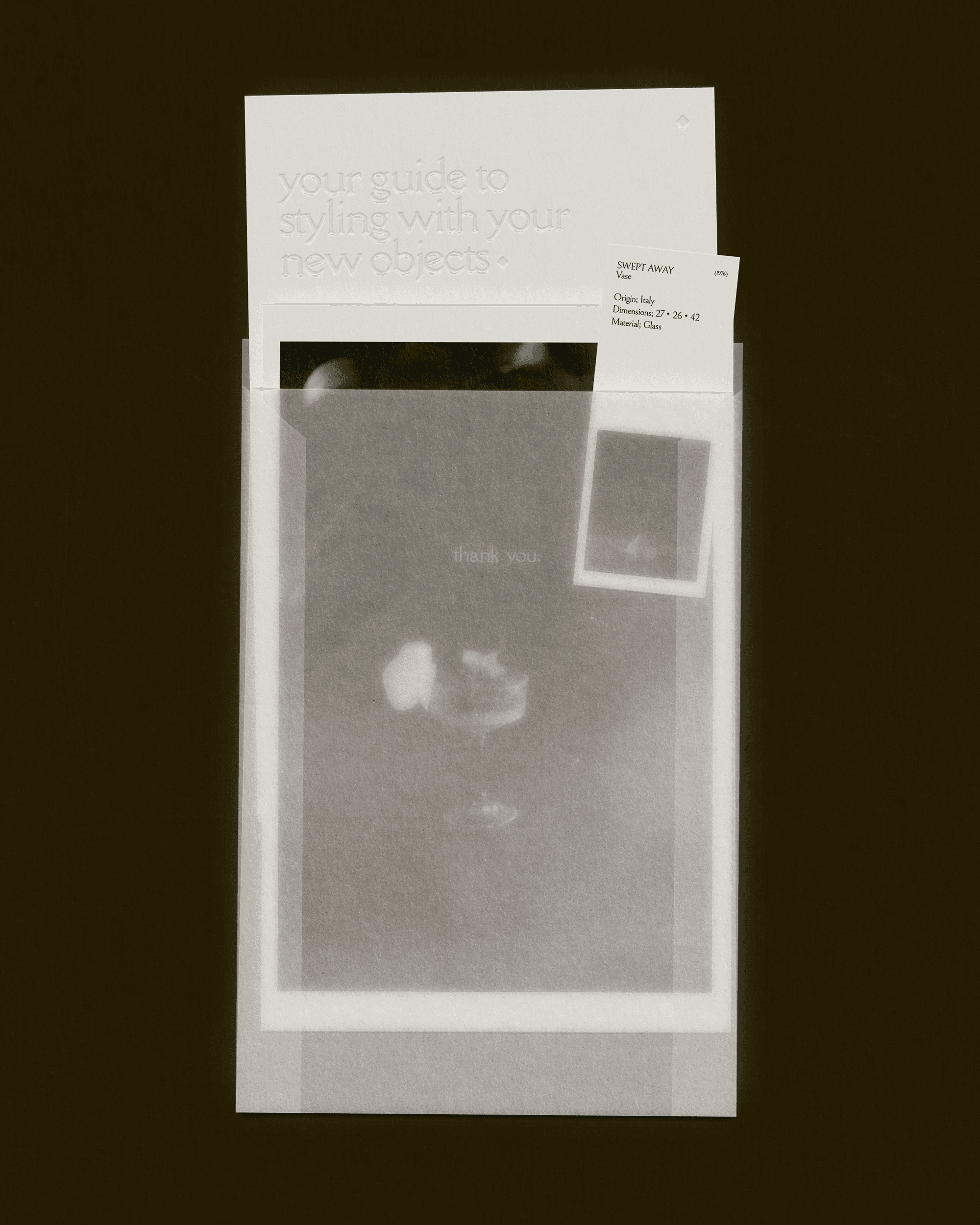 vellum envelope editorial packaging design by selina donohoe