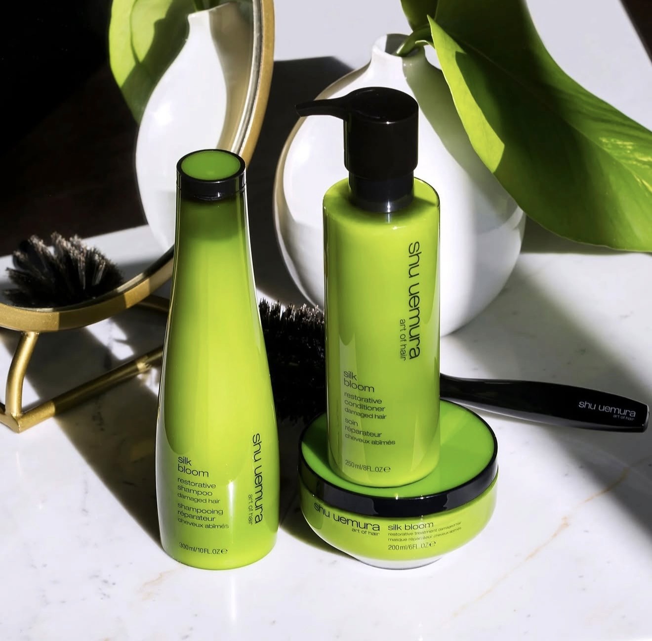 Close-up of a tree stump showing growth rings and a textured brown wood surface.