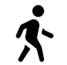 Delivery Truck Express Icon Black