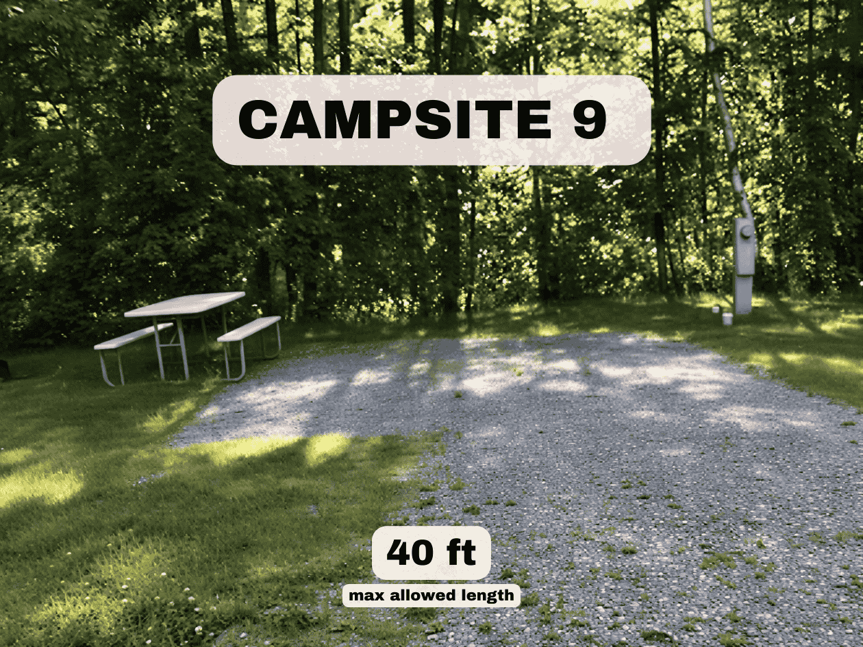 Campsite 9 at Pine Hollow Campground in Southern Vermont with a picnic table and 40ft gravel RV pad