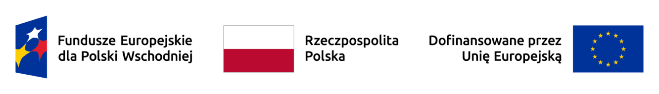 Logotypy Funduszy Europejskich