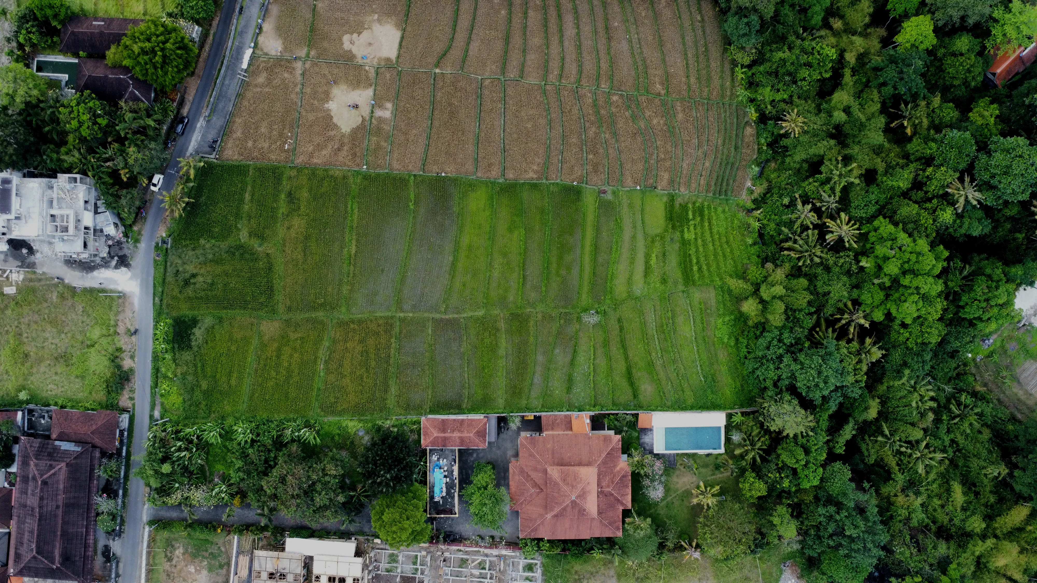 Healthy Home Buwit