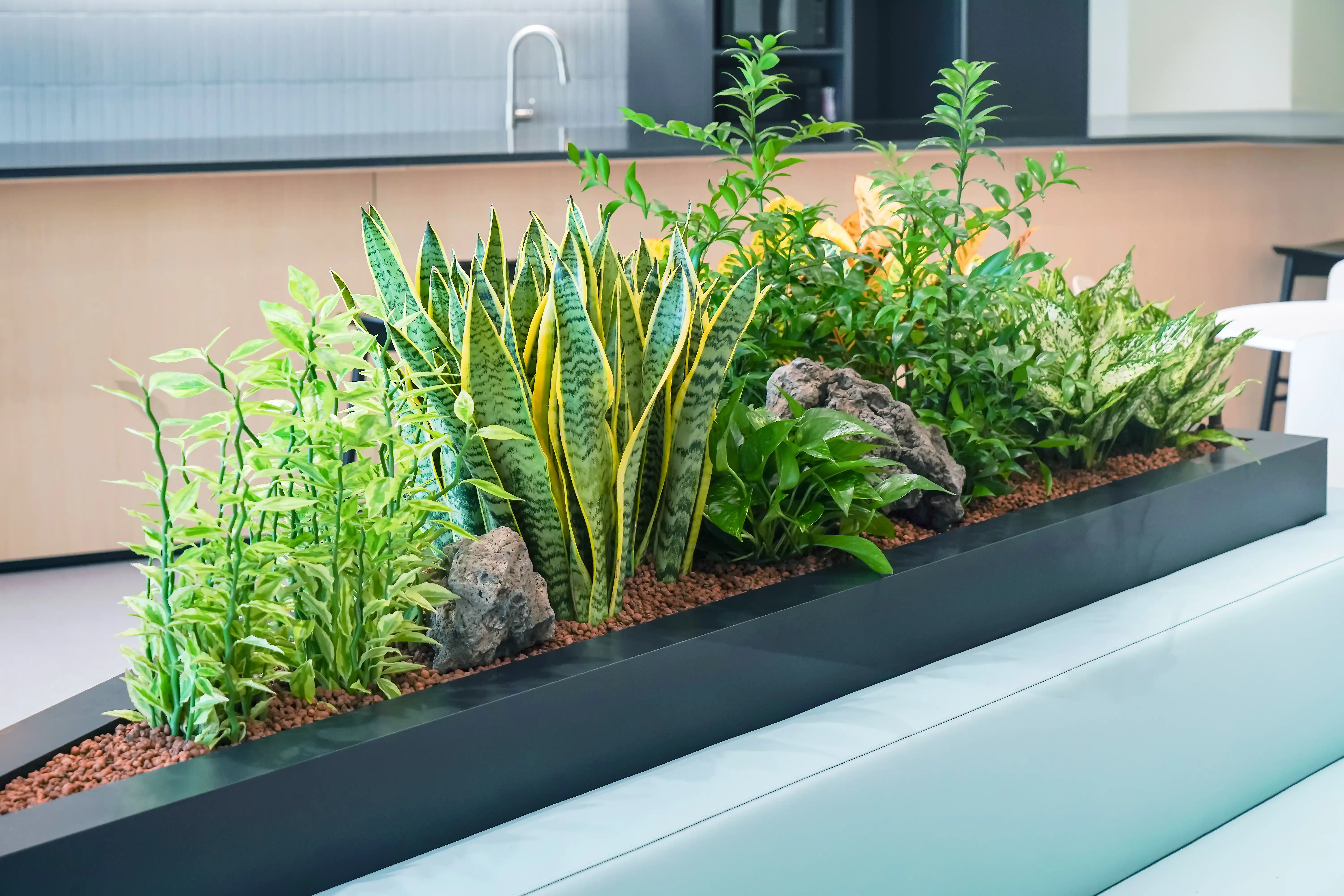 가까이에서 촬영한 라운지 퍼니처가든