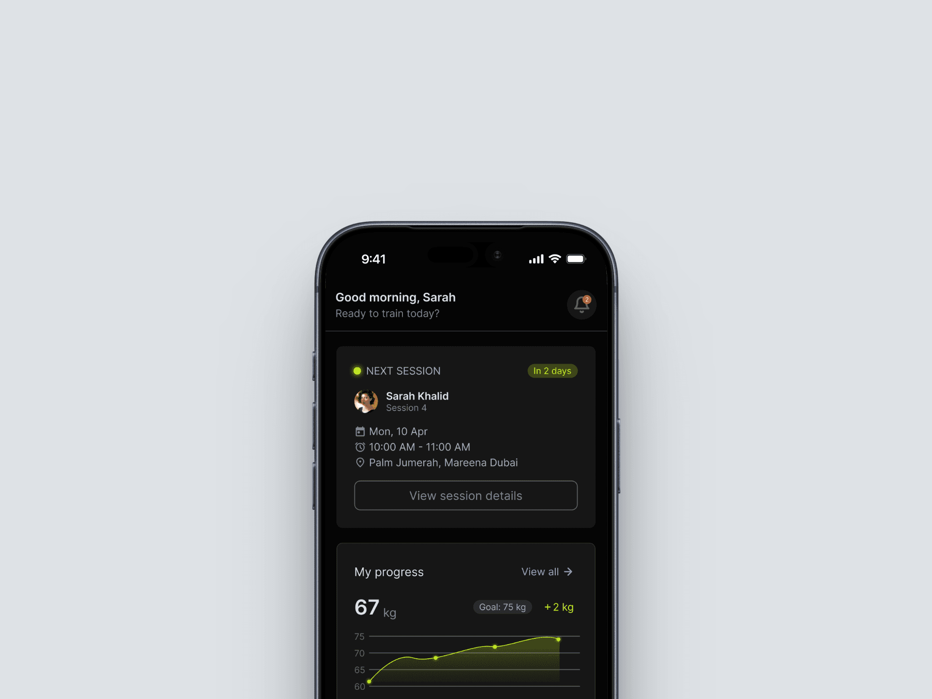Iphone screens in LeFit