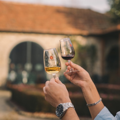 Taylor's Cellars Vila Nova de Gaia