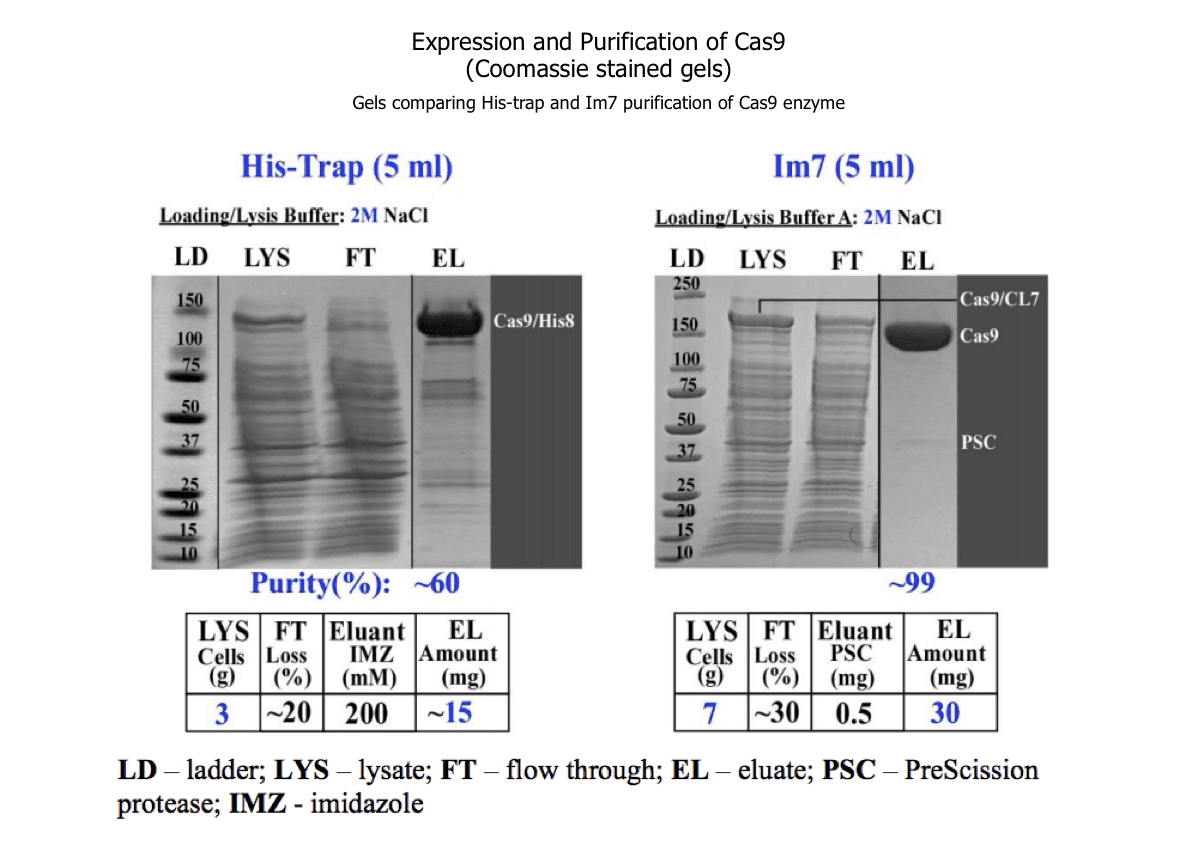 SpCas9 specifications: purity ~99% SDS-PAGE and endotoxin <0.1 EU/µg LAL