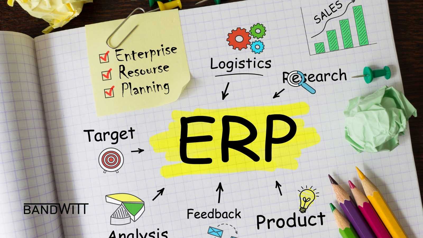 erp nedir