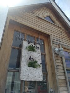 Picture of a tiny house