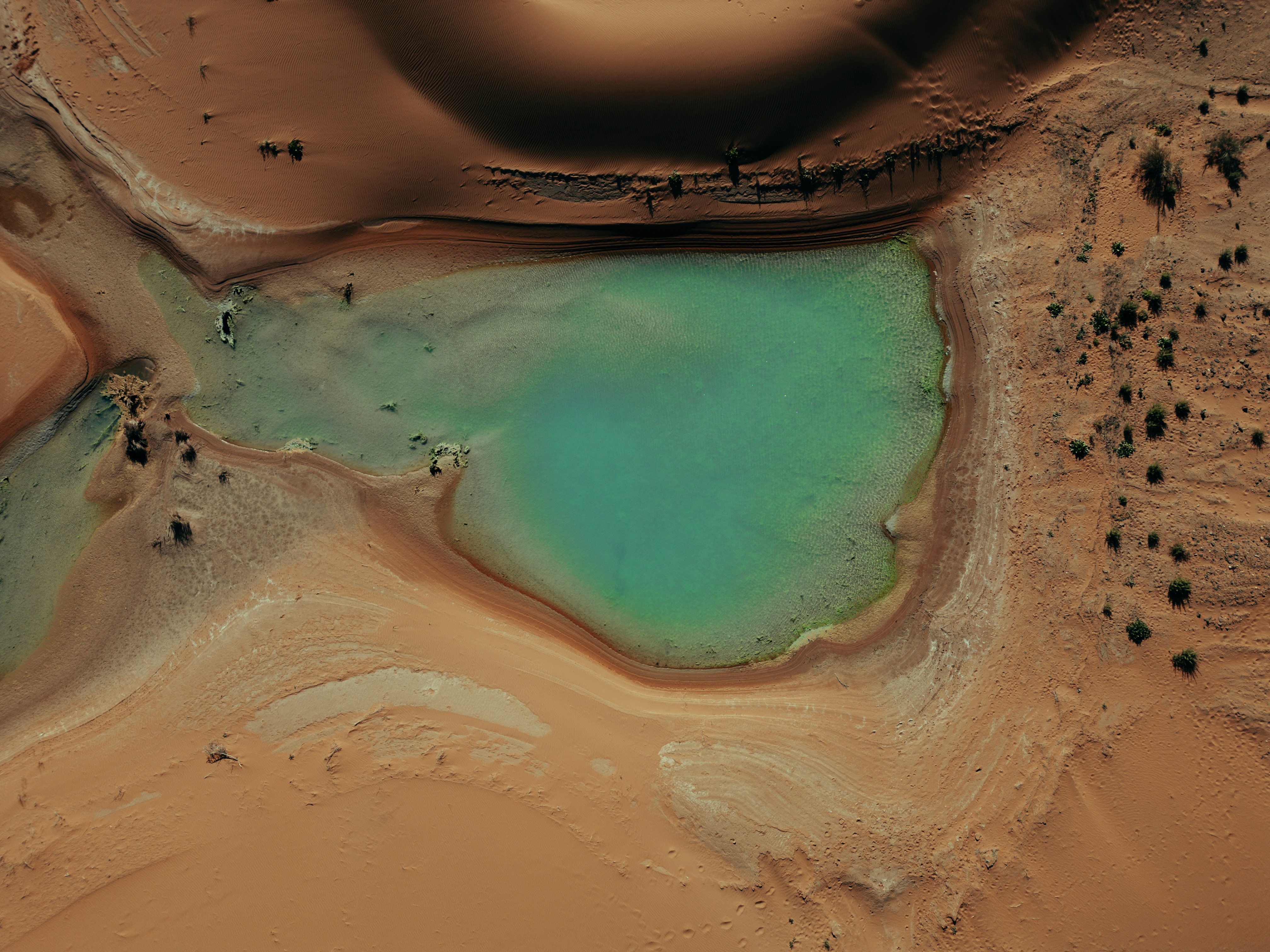 Turquoise oasis surrounded by desert sand dunes