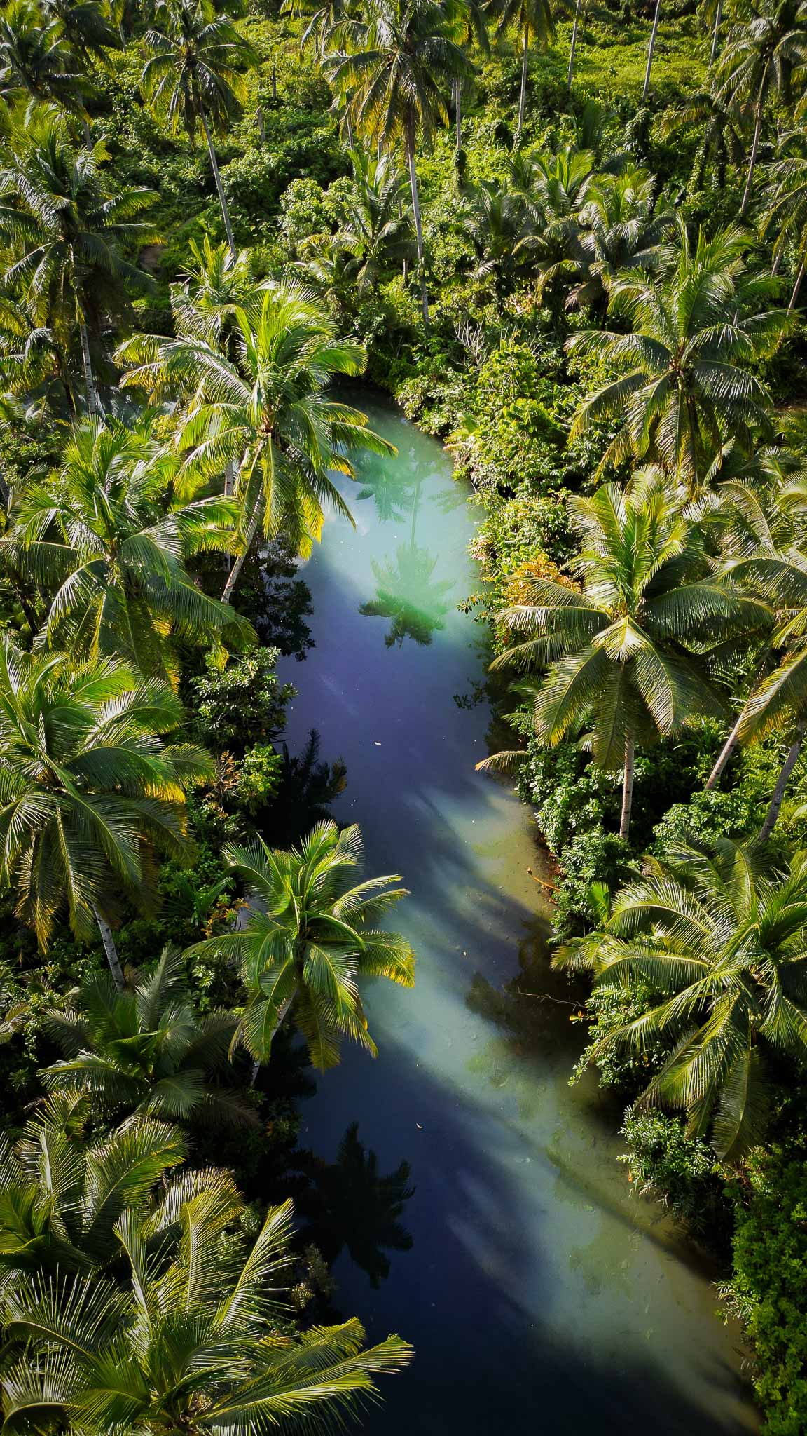 philippines drone siargao river palms