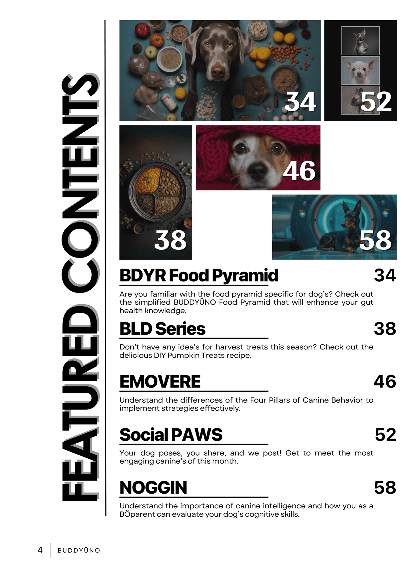 buddyuno, dog magazine, page 4