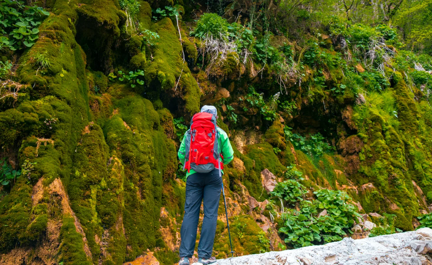 Escapismo em alta no Brasil