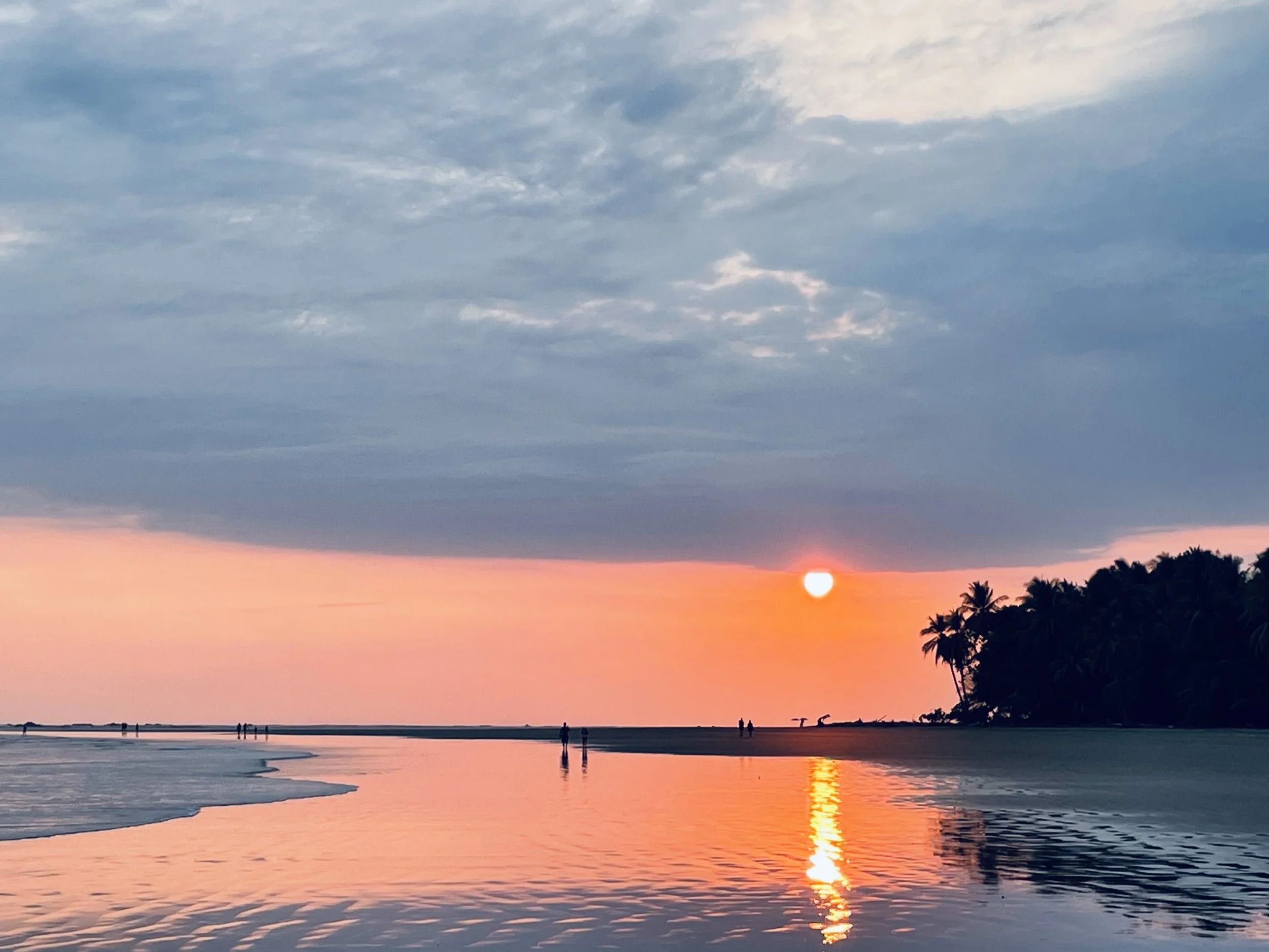 a black and white living room with a large tv