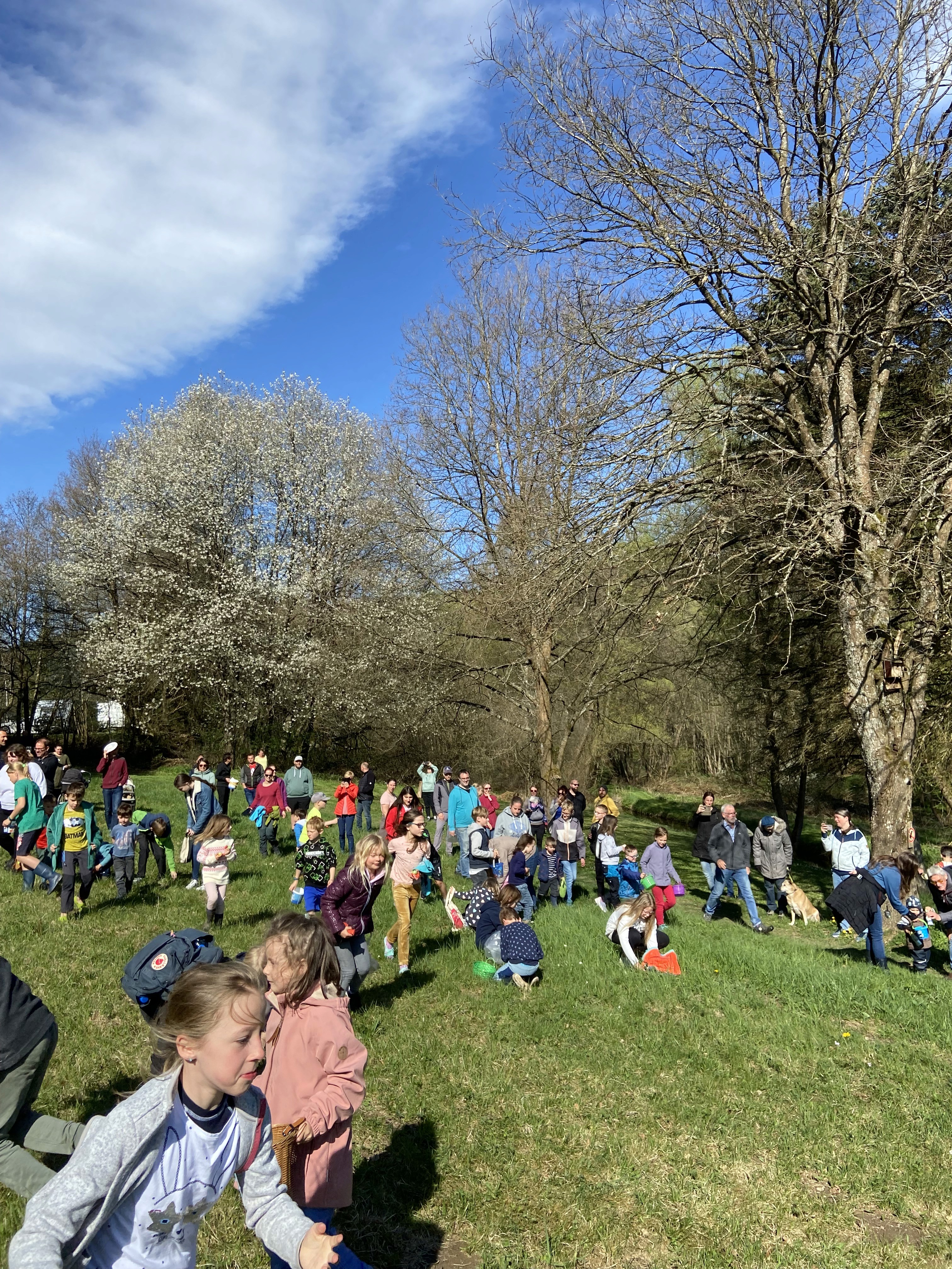 Los geht's mit der Oster suche