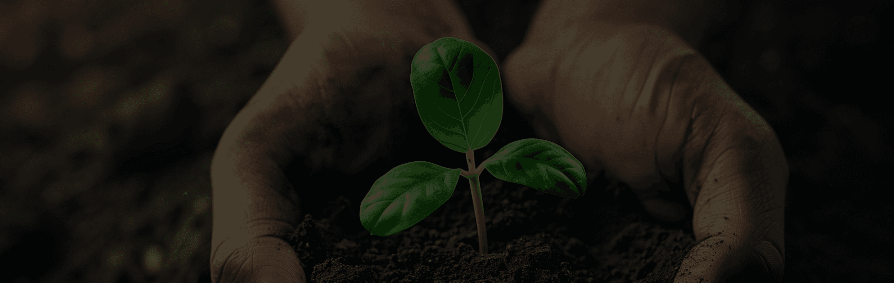 Solution Header Image