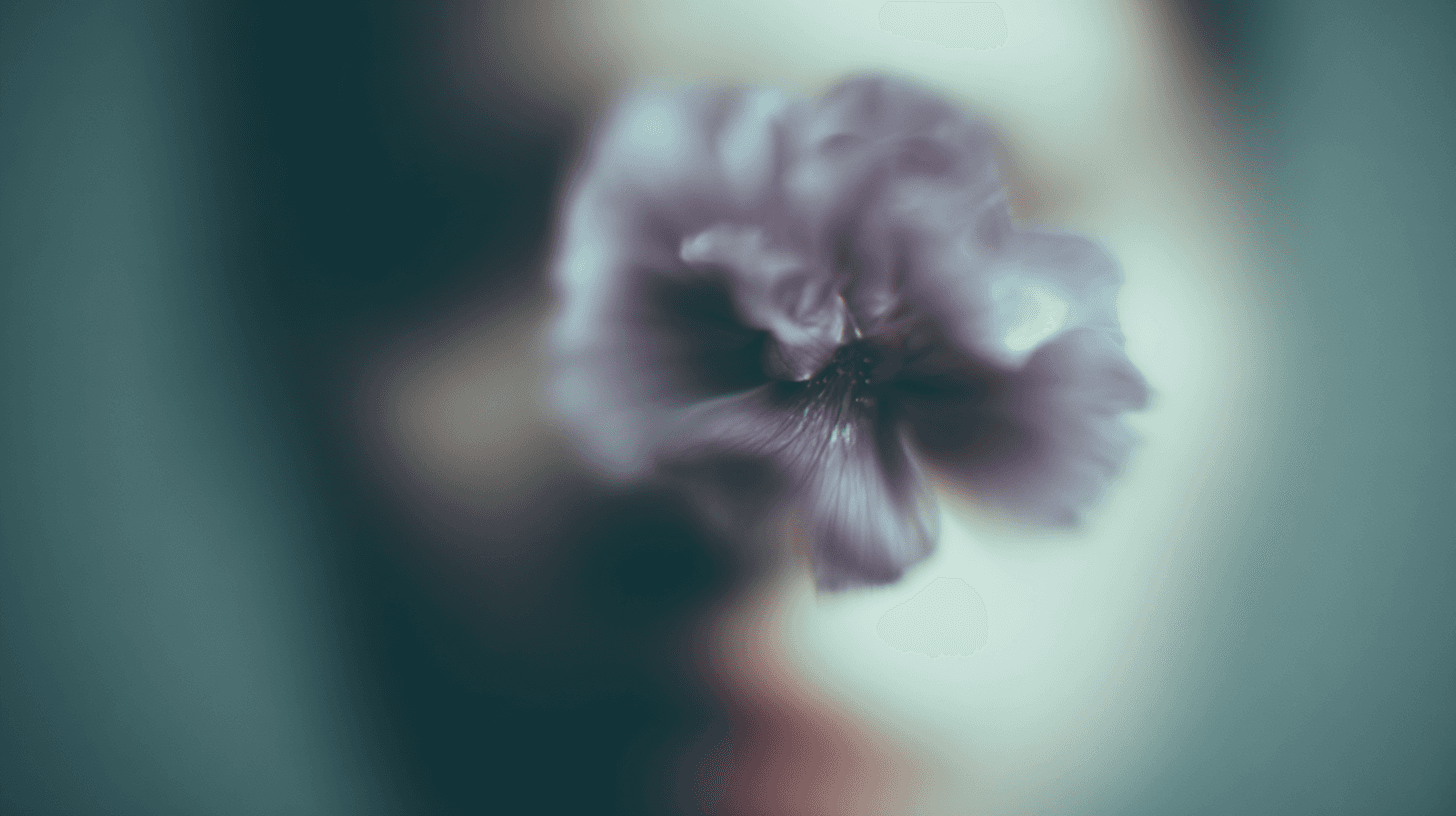 purple flower over a blurry face of a woman