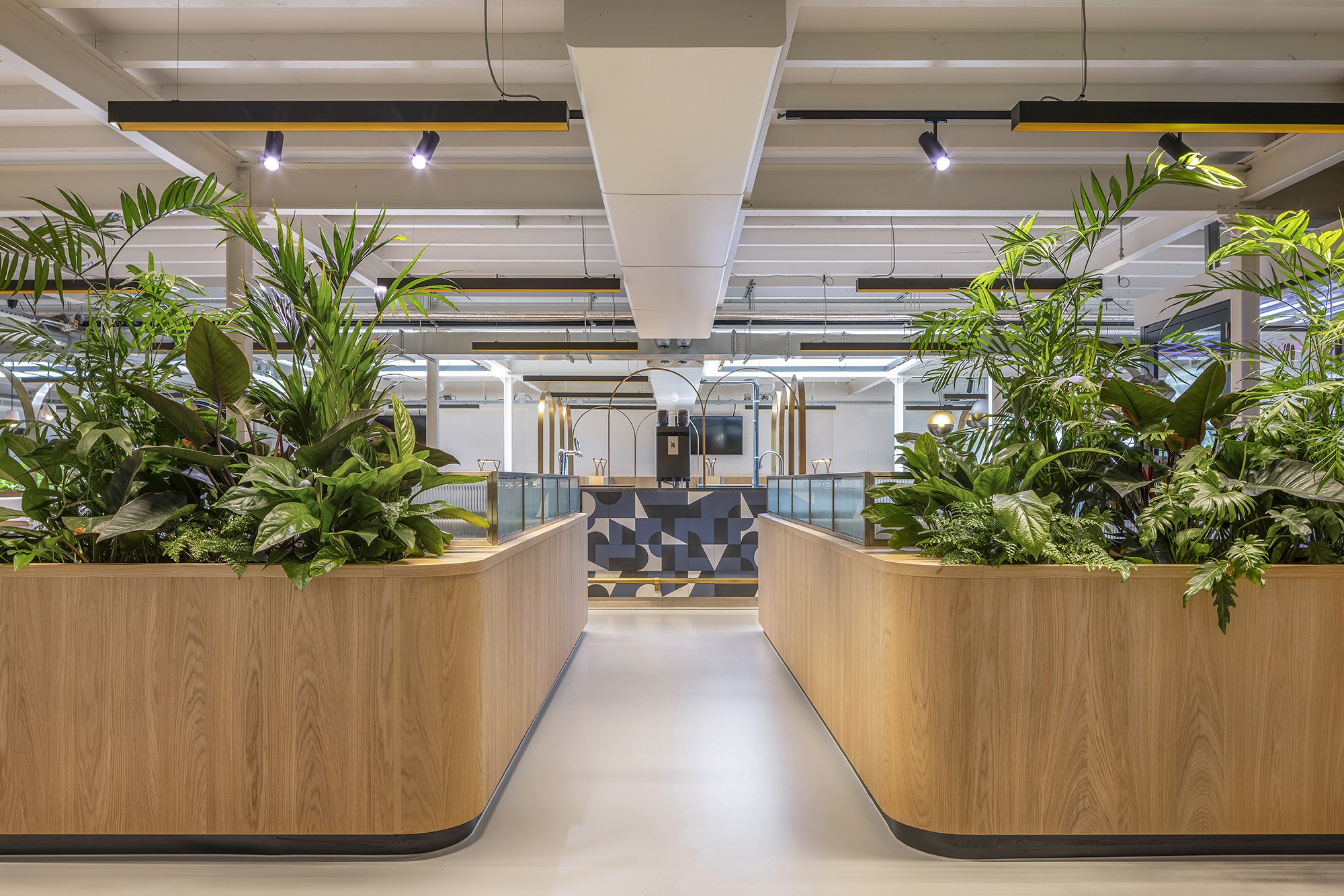 Mollie Payments founders club planters by Positive Space